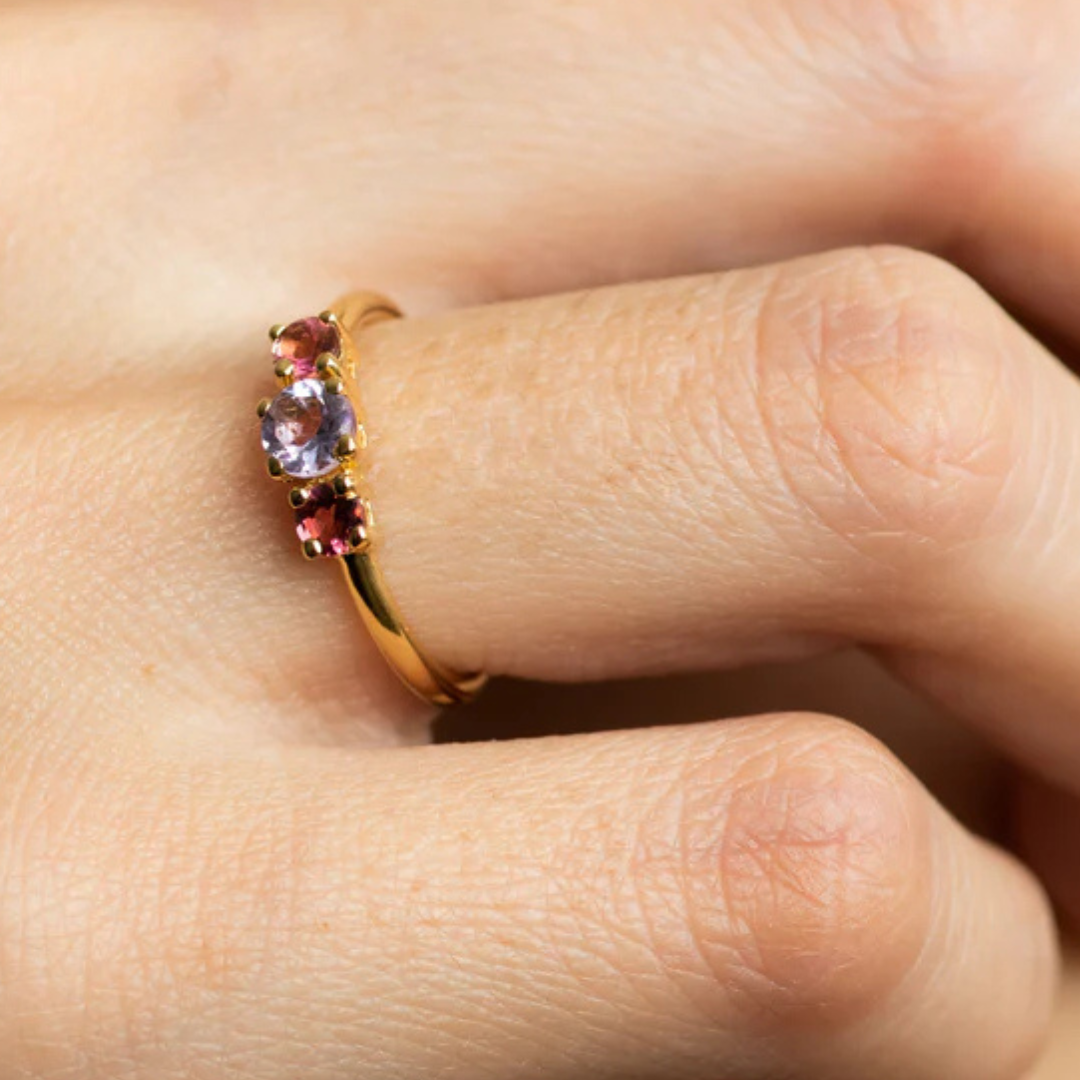 Anillo Familia Templanza