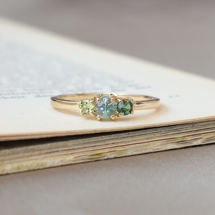 Anillo Familia Templanza