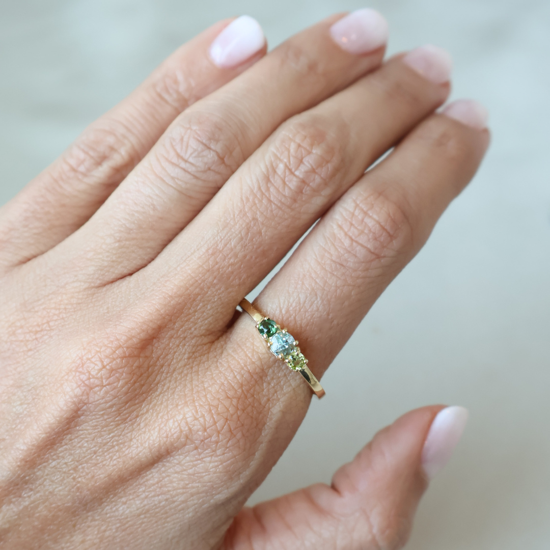 Anillo Familia Templanza