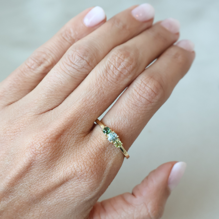 Anillo Familia Templanza
