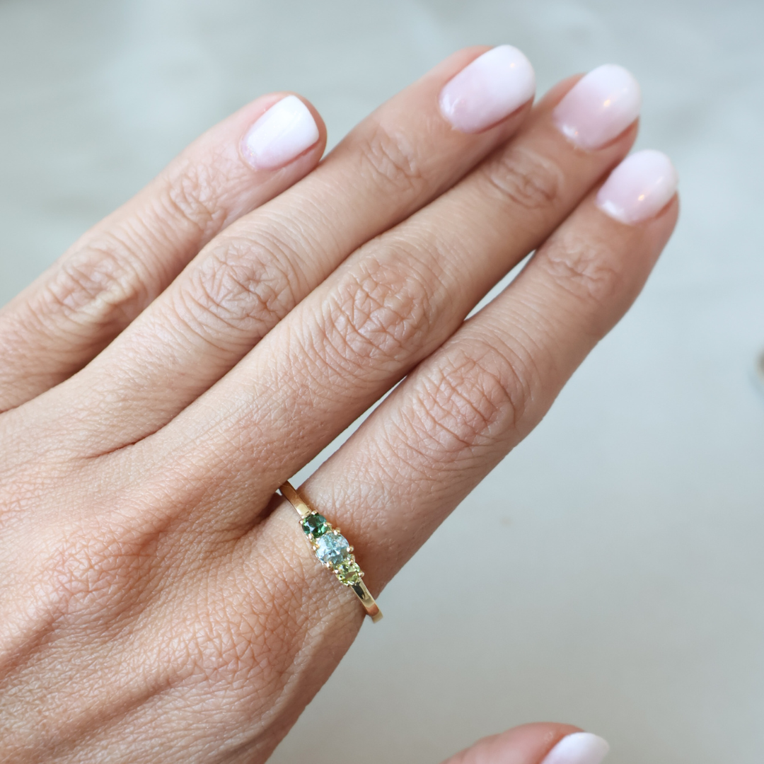 Anillo Familia Templanza
