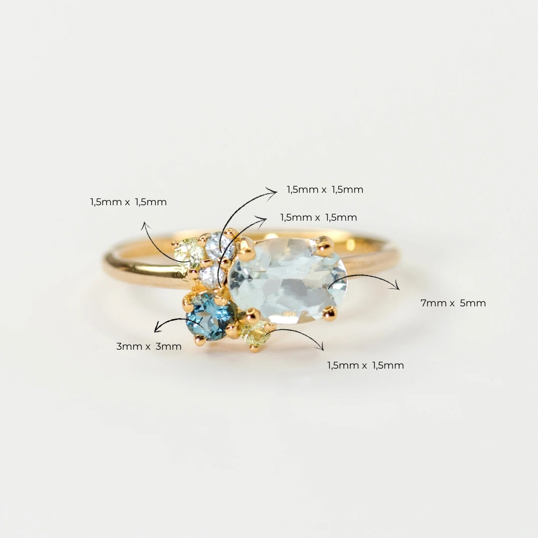 Anillo Familia Esperanza