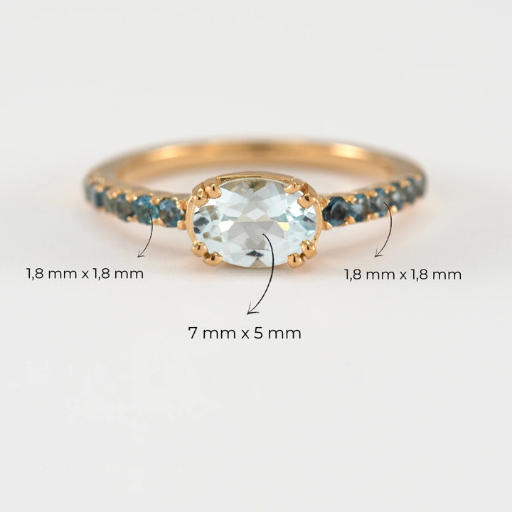 Anillo Familia Lorenza