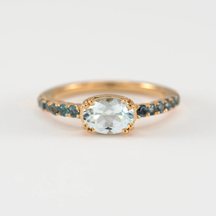 Anillo Familia Lorenza